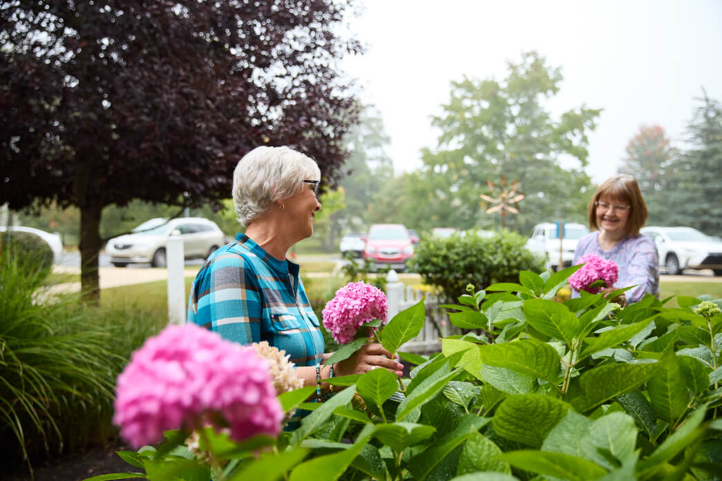 Women looking at flowers on the bushes