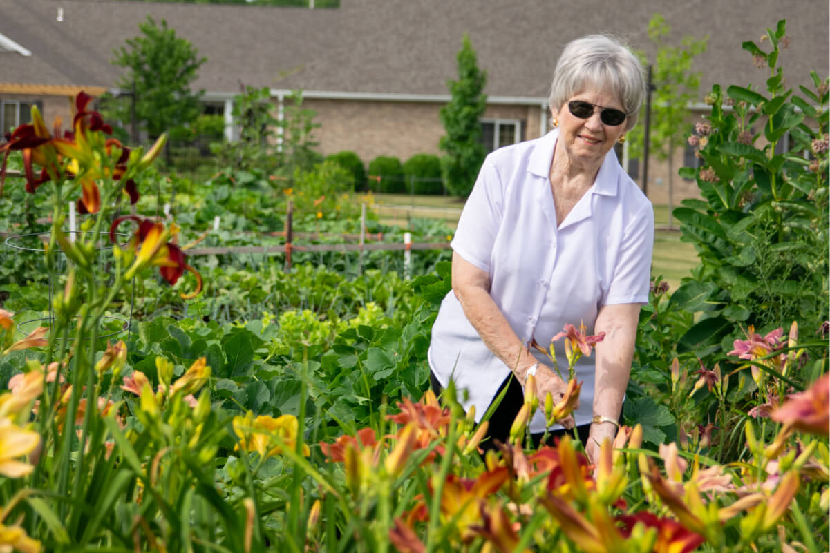 Senior woman picking flowers