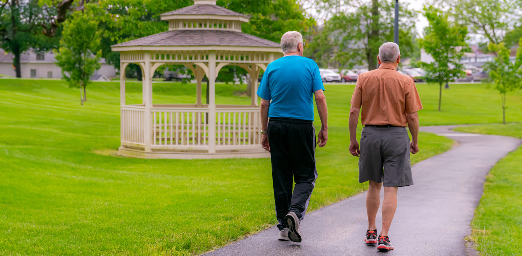 Two senior men on walking path