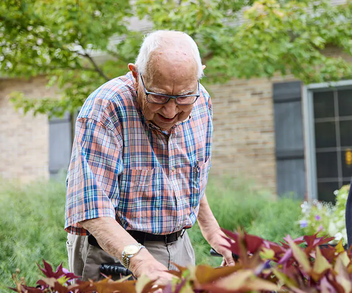 Senior man gardening