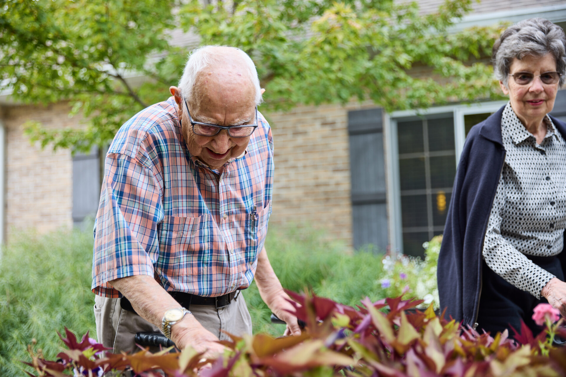 Senior man picking flowers