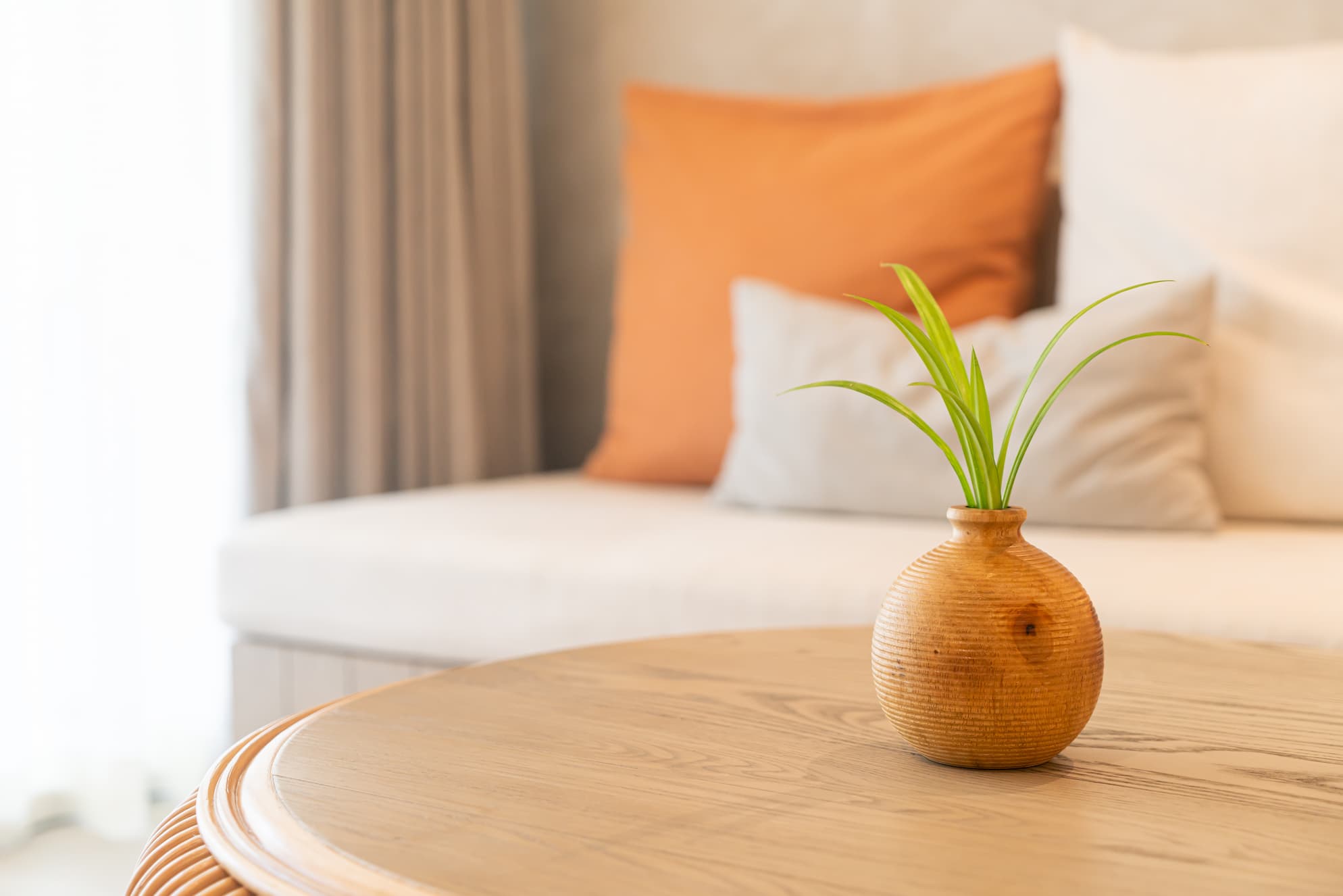 Minimalist room with round table and small plant in a wooden vase.