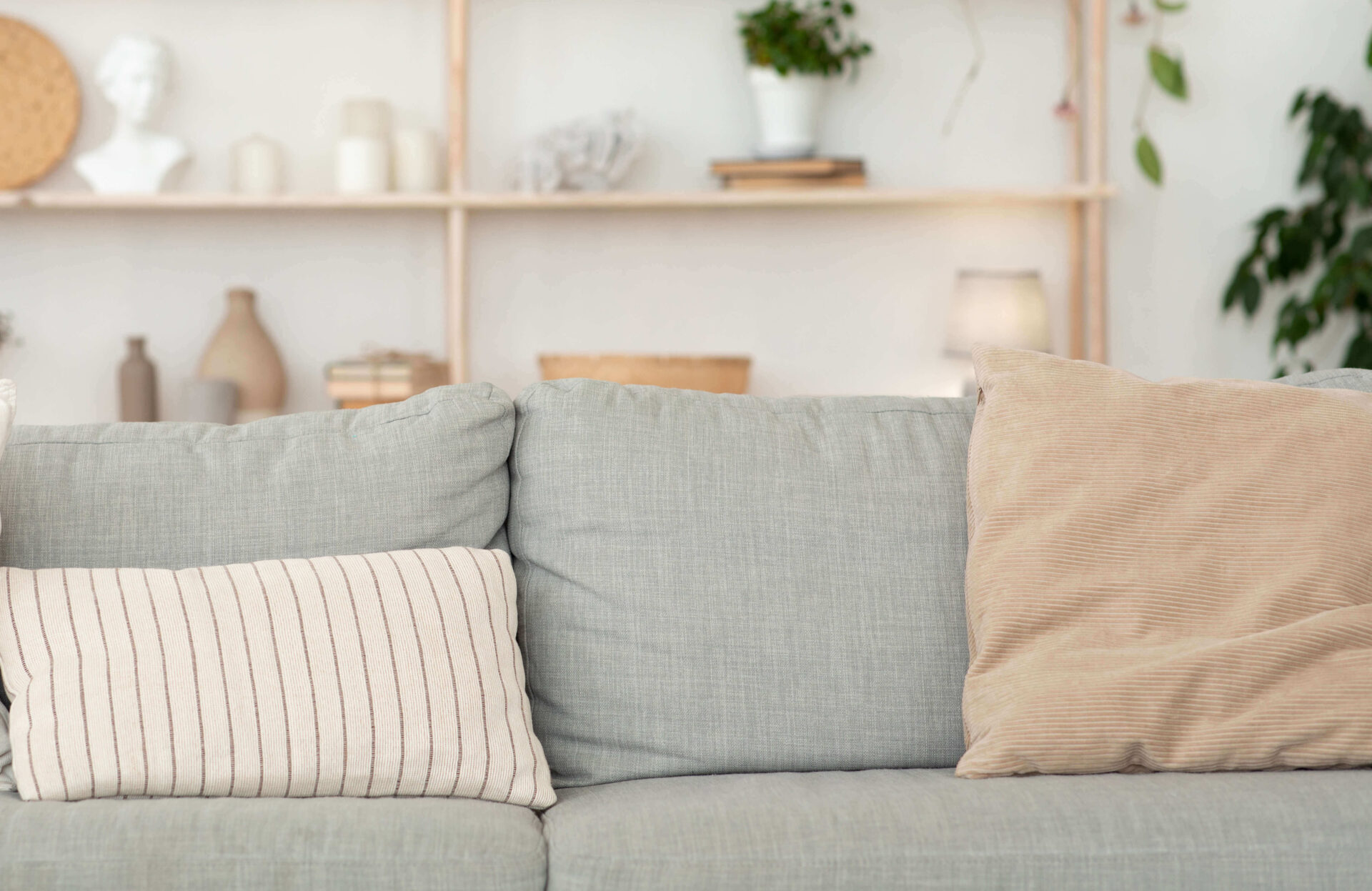 Cozy living room with light gray sofa and beige pillows in tranquil setting.