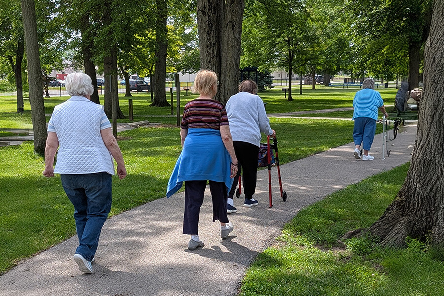 Four seniors walking on a shaded path in a scenic park surrounded by trees.